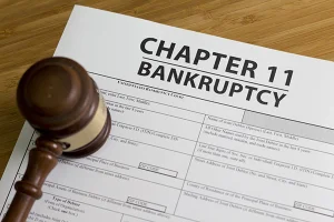 chapter 11 bankruptcy chapter 11 bankruptcy